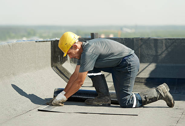 Best Insulation Maintenance and Repair in Warsaw, IL